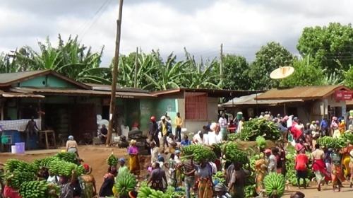 Keine Bildbeschreibung verfügbar