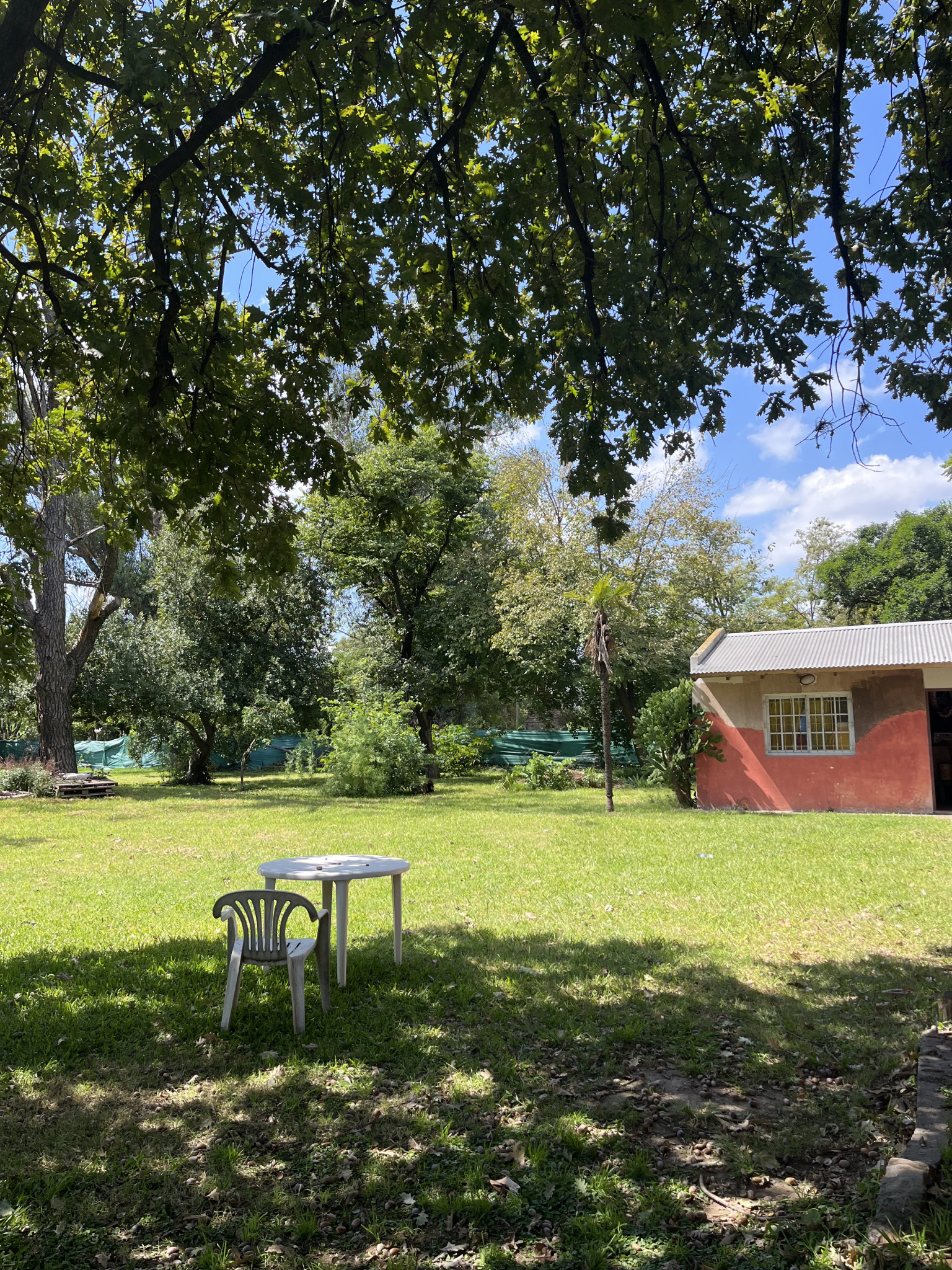 Keine Bildbeschreibung verfügbar