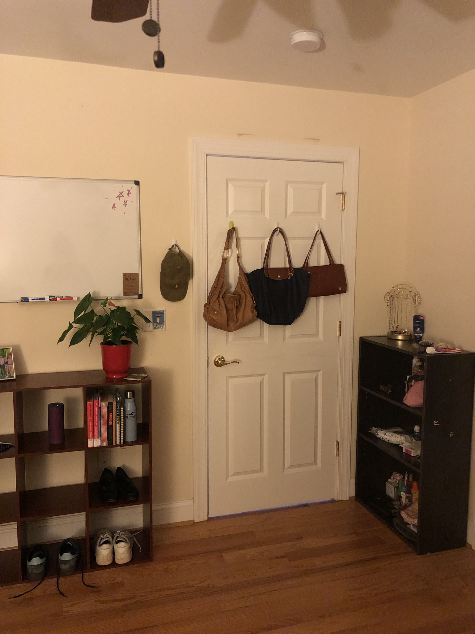 Keine Bildbeschreibung verfügbar