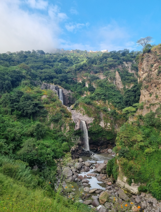 Keine Bildbeschreibung verfügbar
