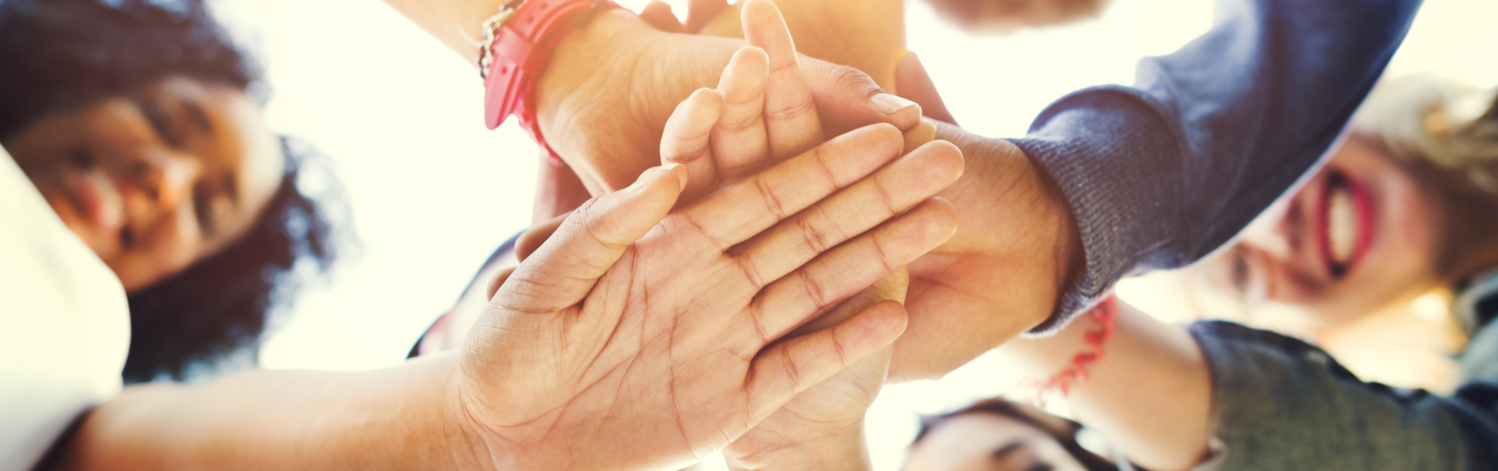 Keine Bildbeschreibung verfügbar