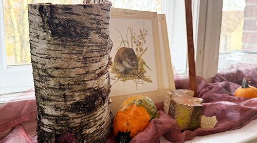 Keine Bildbeschreibung verfügbar