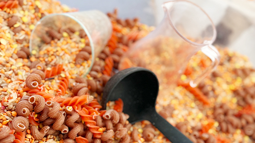 Keine Bildbeschreibung verfügbar