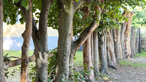 Keine Bildbeschreibung verfügbar