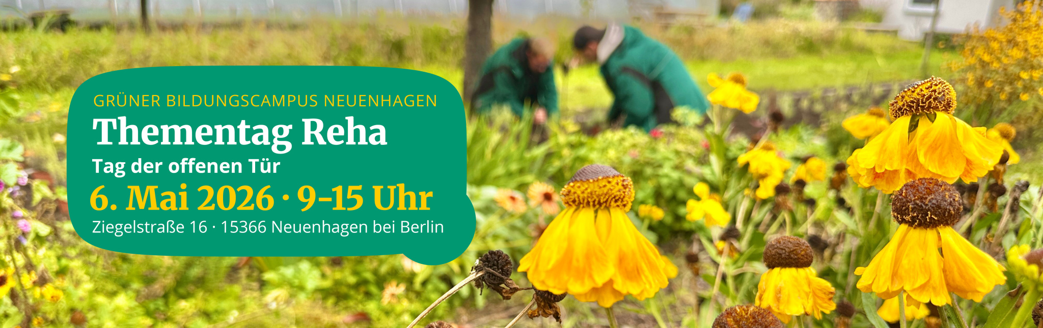 Keine Bildbeschreibung verfügbar