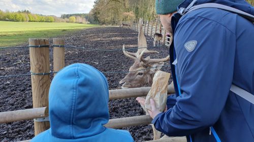 Keine Bildbeschreibung verfügbar