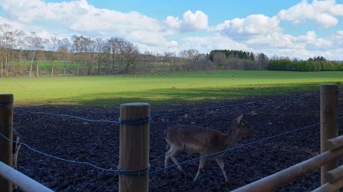 Keine Bildbeschreibung verfügbar