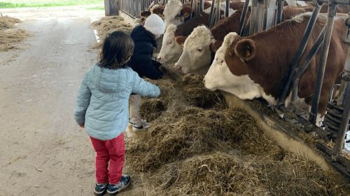 Keine Bildbeschreibung verfügbar