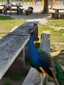 Keine Bildbeschreibung verfügbar