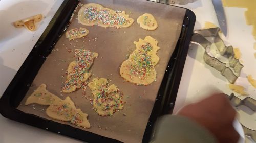 Keine Bildbeschreibung verfügbar