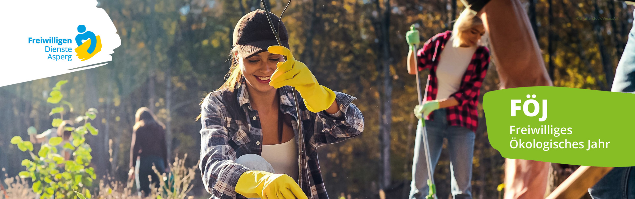 Keine Bildbeschreibung verfügbar