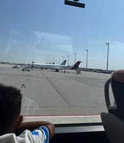 Keine Bildbeschreibung verfügbar