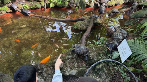 Keine Bildbeschreibung verfügbar