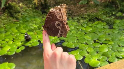 Keine Bildbeschreibung verfügbar