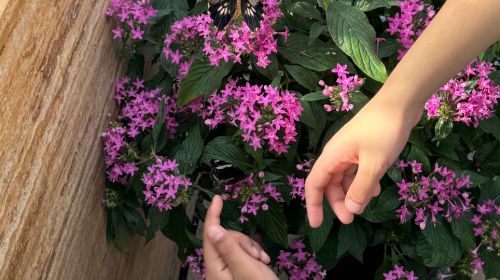 Keine Bildbeschreibung verfügbar