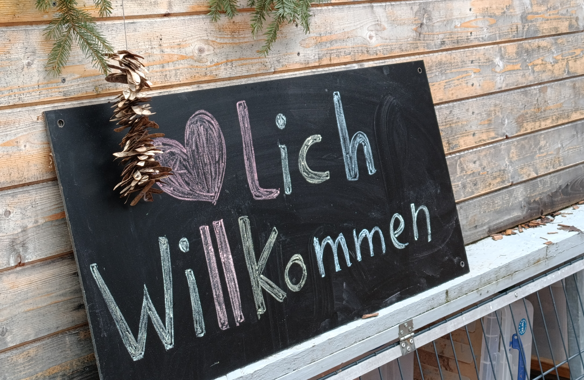 Keine Bildbeschreibung verfügbar