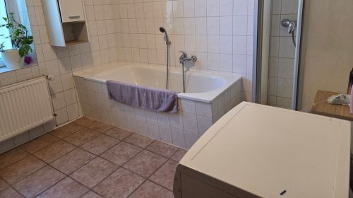Ein Bad mit Badewanne, Dusche und Waschmaschine.