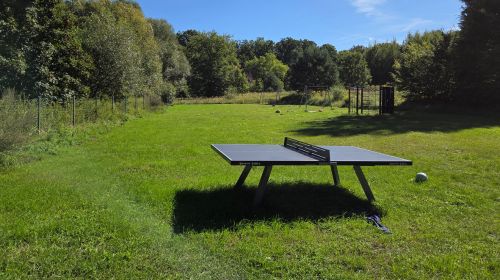 Ein Garten mit großer Wiese, Bäumen und Tischtennis-Platte