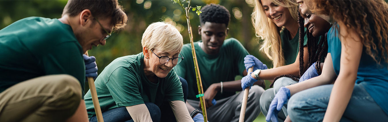Keine Bildbeschreibung verfügbar