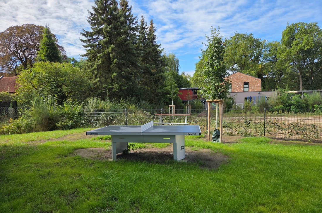 Grünfläche mit einer Outdoor-Tischtennisplatte aus Beton, dahinter ein Zaun und dichte Bäume, darunter hohe Nadelbäume. Im Hintergrund ein Backsteinhaus und eine rote Holzhütte. Rechts steht ein junger Baum mit Stützpfählen.