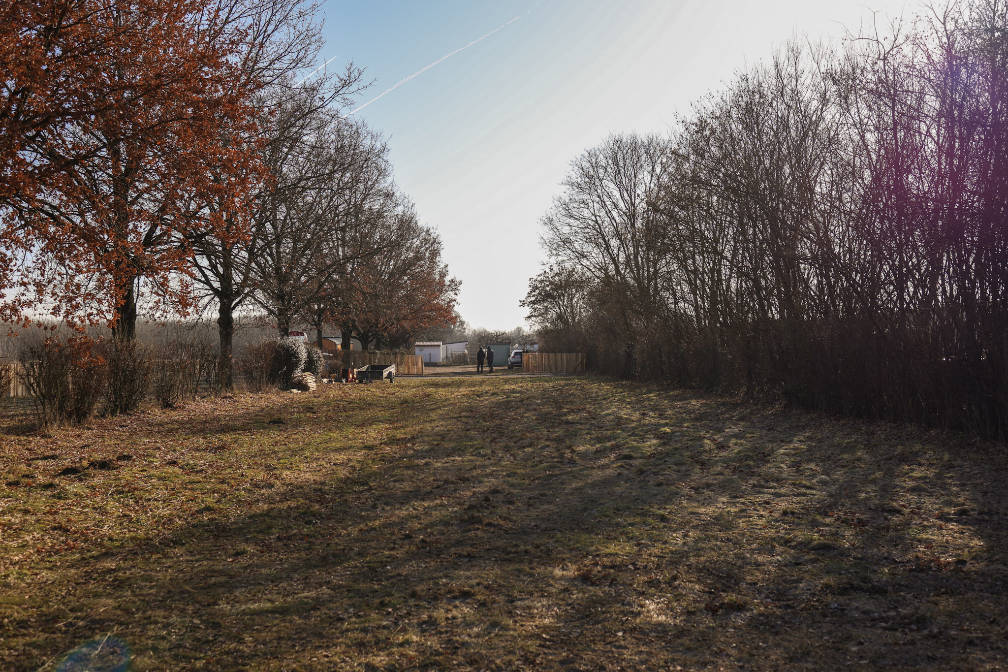 Keine Bildbeschreibung verfügbar