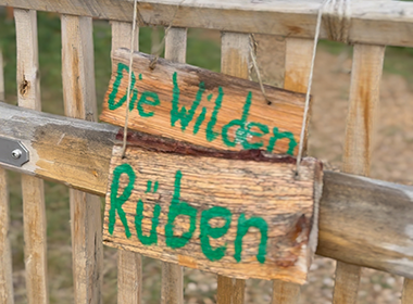 Keine Bildbeschreibung verfügbar